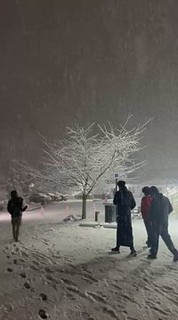 WhatsApp Video 2026-02-22 at 21.57.27