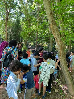 Nature Talk with Sunday School students