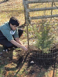 Tree Plant @ ICCP - November 16, 2024