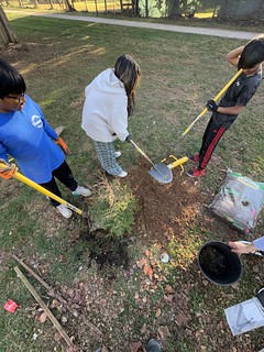 Tree Plant @ ICCP - November 16, 2024