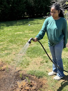 Native Plants Garden