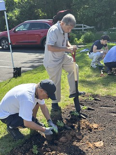 Native Plants Garden