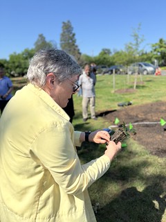 Native Plants Garden