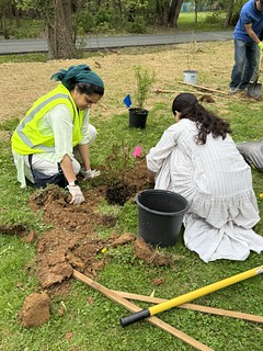 Tree Planting