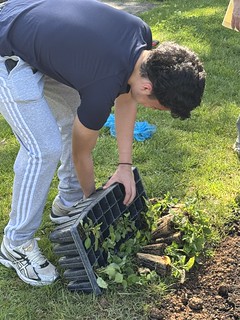 Native Plants Garden