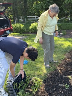 Native Plants Garden