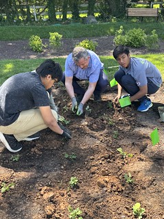 Native Plants Garden