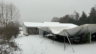 WhatsApp Image 2026-01-25 at 18.30.28 (2)